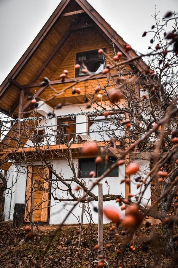 Eged Cottage 埃格尔 外观 照片